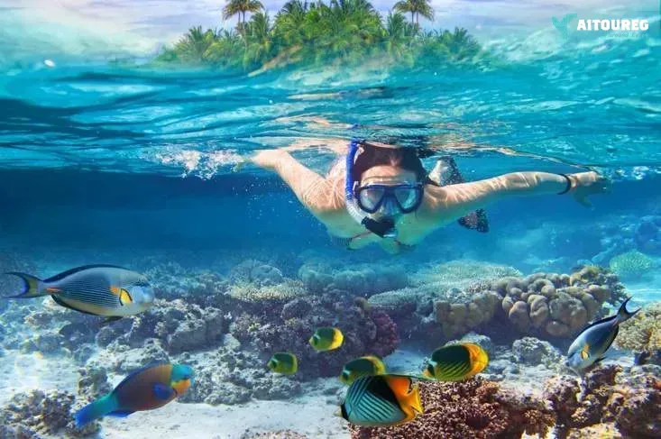 Sharm el naga bay snorkeling trip from sahel hashesh