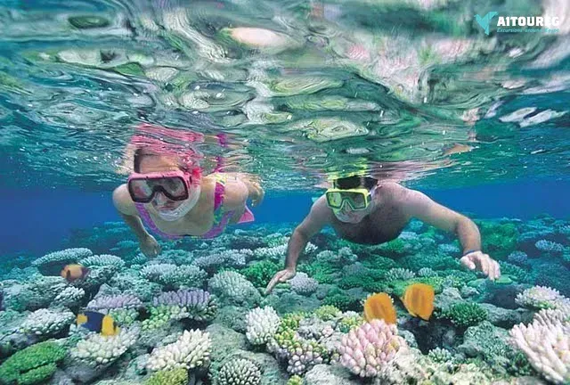 Sharm el naga bay snorkeling trip from sahel hashesh