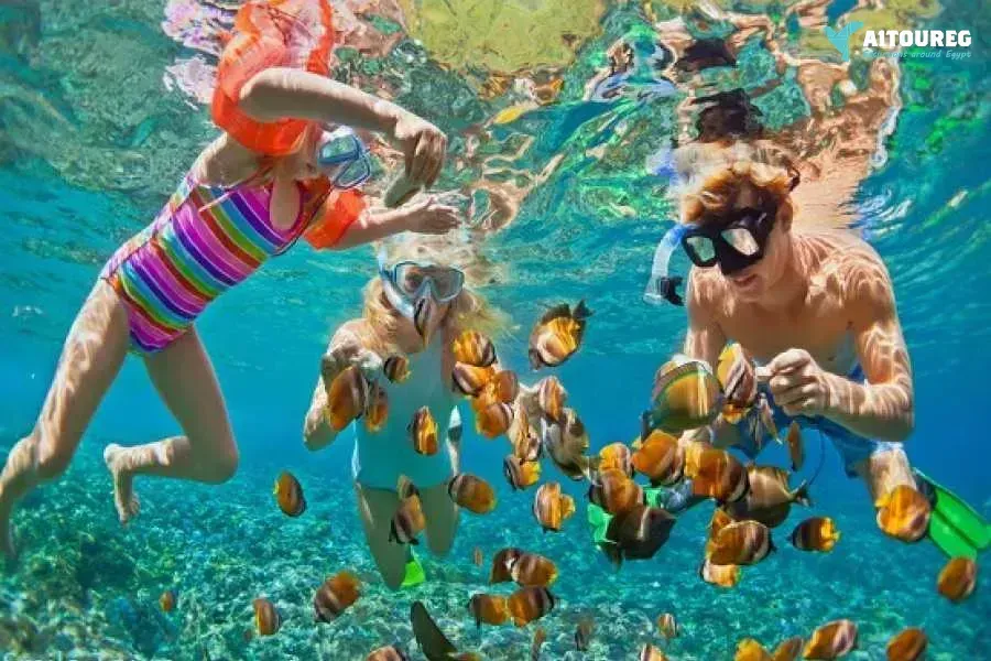 Sharm el naga bay snorkeling trip from sahel hashesh
