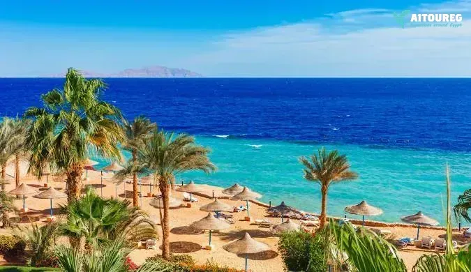 Sharm el sheikh airport transfers to sharm el sheikh hotels