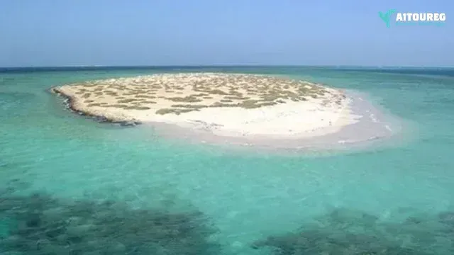 Professional Snorkeling Tour at Hamata Islands: Experience from Marsa Alam