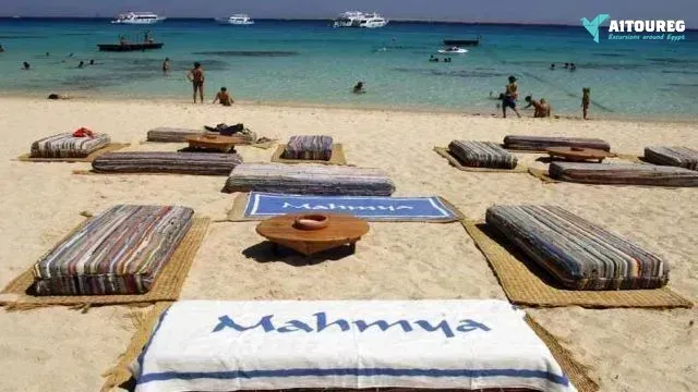 Snorkeling trip at mahmya island from el gouna
