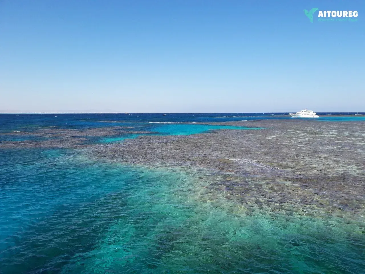 Snorkeling trip at mahmya island from makadi