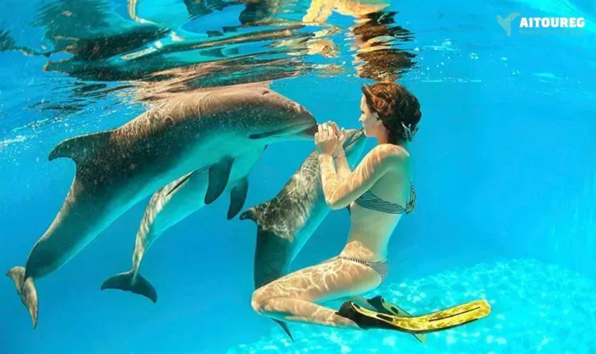Snorkeling trip at sataya dolphin reef from el quseir