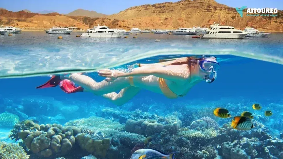 Snorkeling trip to hamata islands from el quseir