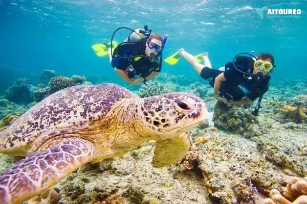 Snorkeling trip to hamata islands from el quseir