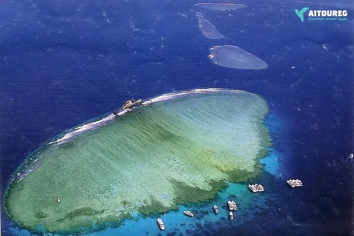 Snorkeling Tiran Island: Explore Stunning Coral Reefs Today.