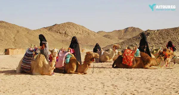 Sunset ATV Quad Desert Safari Tours in Marsa Alam, Egypt