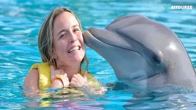 Swim with dolphins in hurghada