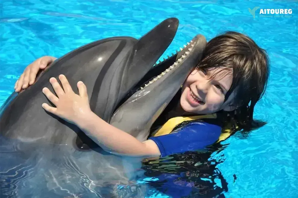 Swimming with dolphins excursion from sahel hashesh