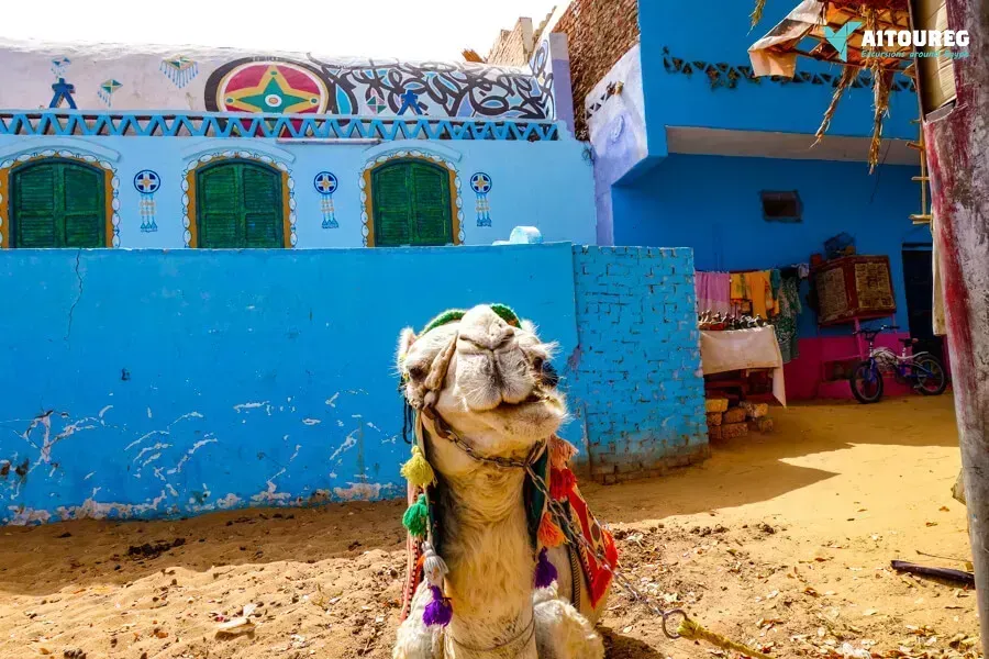 drei tage tour Assuanund abu simbel von marsa alam