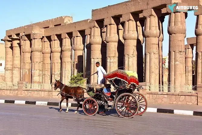Tour to dendera and medinet habu