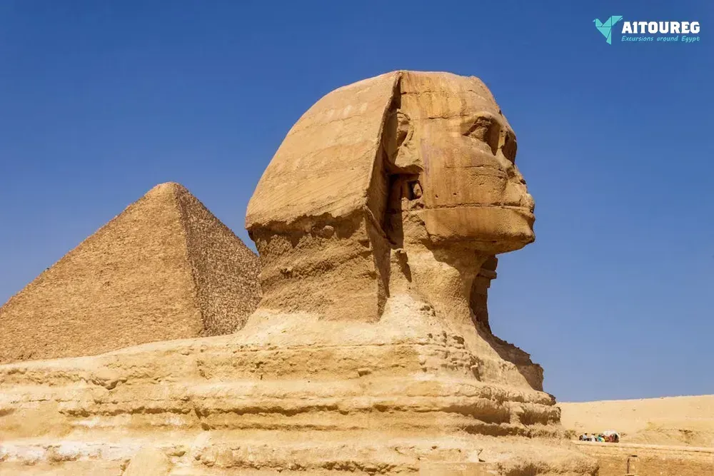 Tour to giza pyramids and egyptian museum