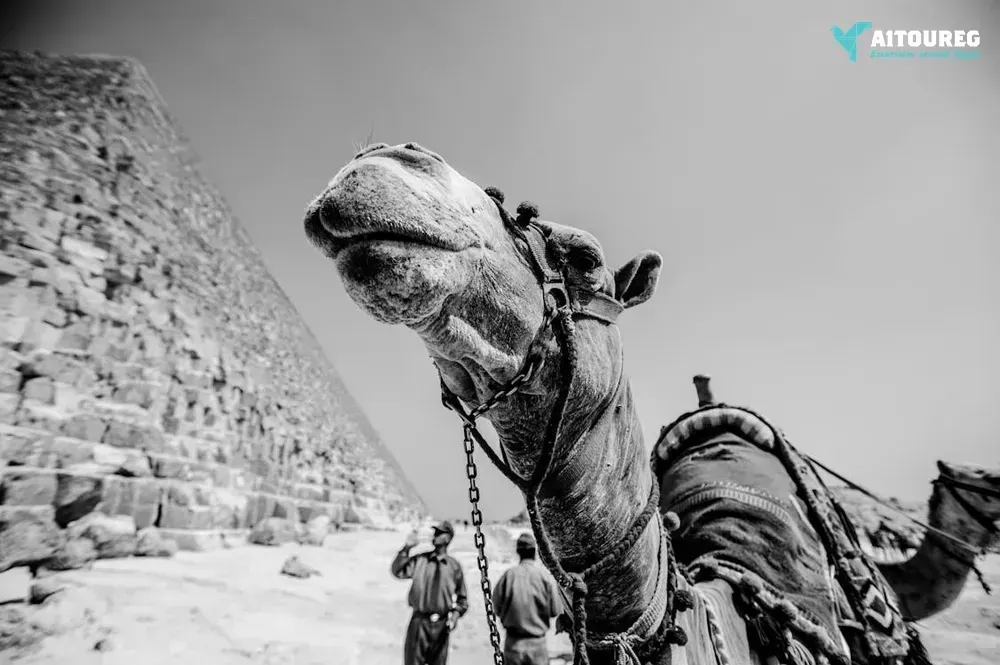 Tour to Giza Pyramids and Sphinx from Cairo- Unforgettable Experience