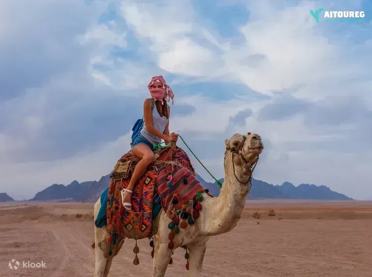 Transfer from sharm el sheikh to sharm el sheikh airport