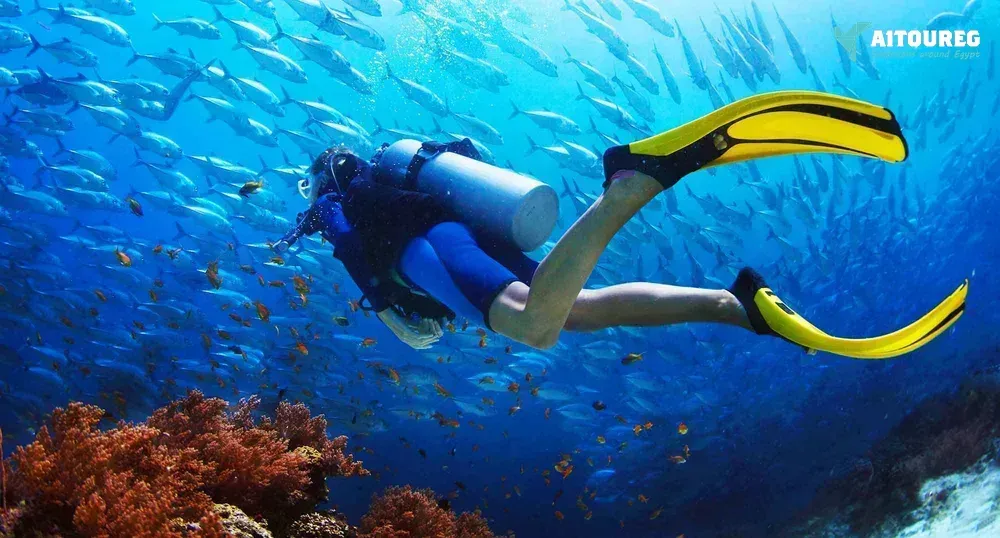 Transfer from sharm el sheikh to sharm el sheikh airport
