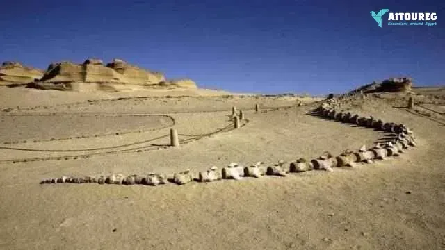 Two day trip to fayoum oasis and wadi el hitan from cairo