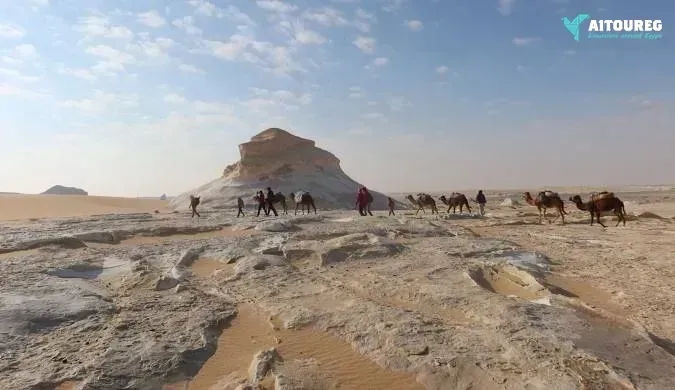 Two days tour to bahariya oasis and white desert from alexandria