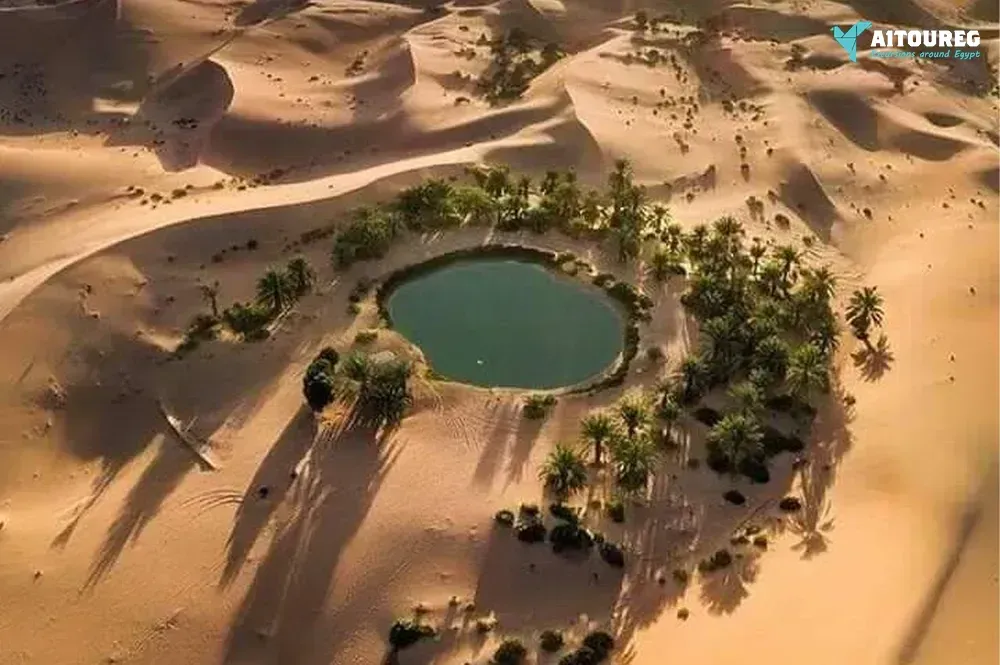 Two days tour to bahariya oasis and white desert from alexandria