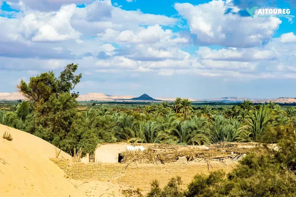 Two days tour to bahariya oasis and white desert from alexandria