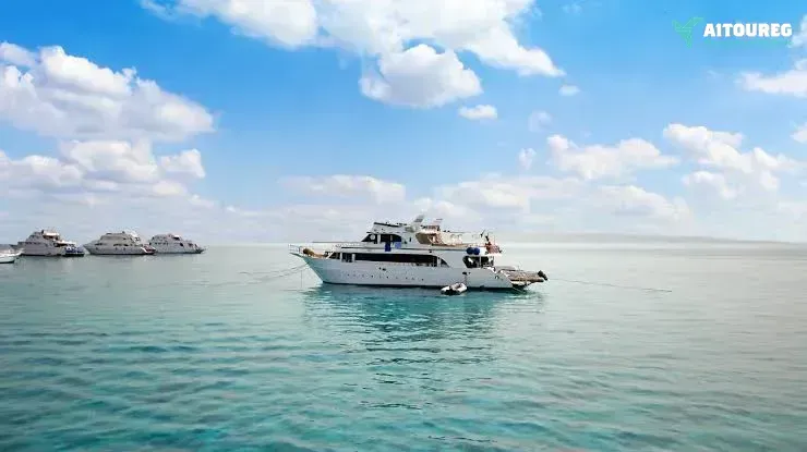 Utopia island snorkeling tour from sahel hashesh