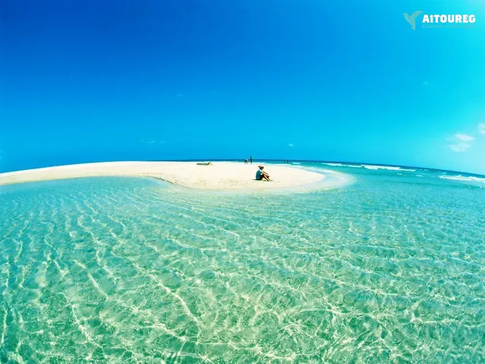 Utopia island snorkeling tour from sahel hashesh