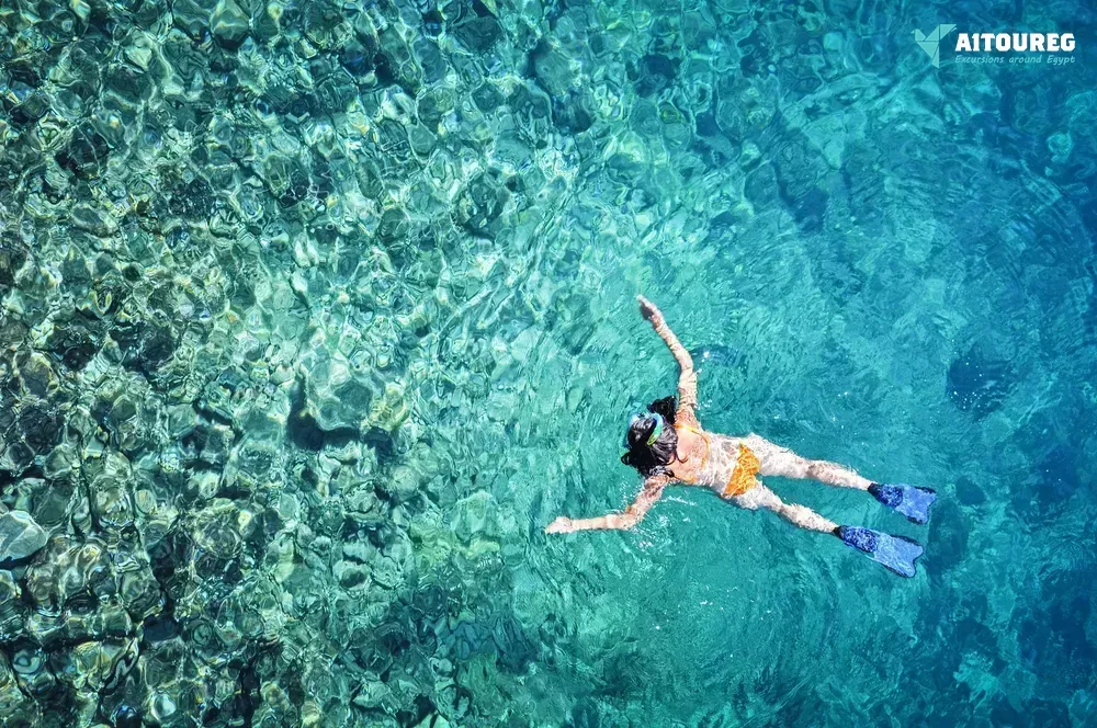 Utopia island snorkeling tour from sahel hashesh