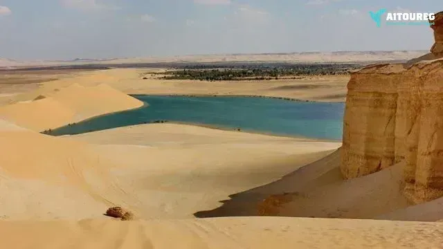 Wadi al hitan day trip from cairo