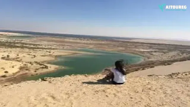 Wadi al hitan valley of whales day trip from cairo