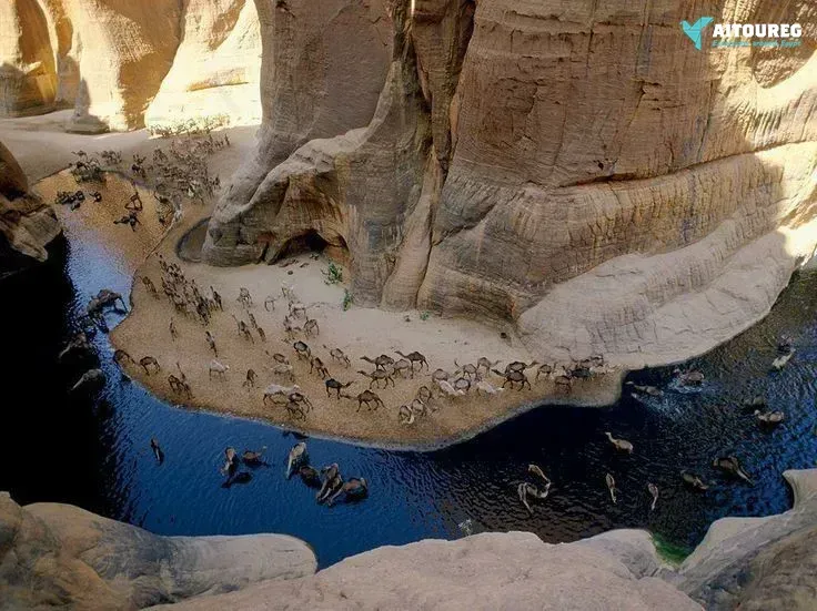 Wadi el gemal trip from el quseir