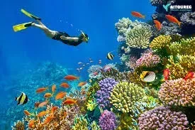 El Gouna Excursions – Plongée et snorkeling en mer Rouge