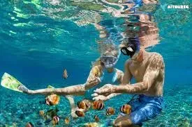 Prenotare escursioni El Quseir snorkeling Mar Rosso safari
