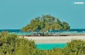 Marsa Alam Excursions – relaxing on the pristine white sands of Sharm El Luli