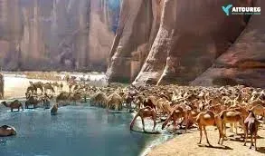 Escursioni Marsa Alam – immersione nel parco marino di Wadi El Gemal