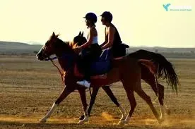 Best horse riding tour Port Ghalib Red Sea