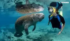 Port Ghalib diving trips certified Red Sea instructors