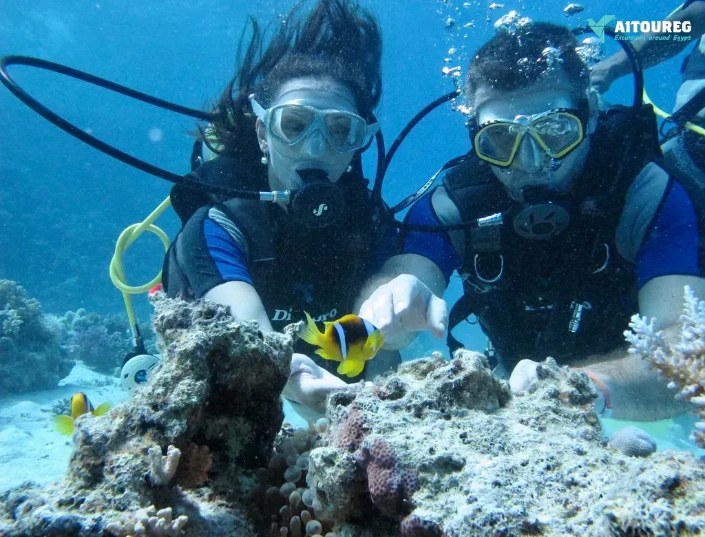 Diving in Sahl Hasheesh – Red Sea underwater excursion