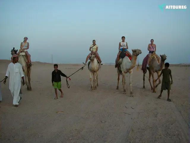 Kamelritt Ausflug in Sahl Hasheesh Wüstensafari