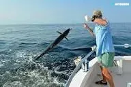 Book Sahl Hasheesh excursions online best Egypt tours
