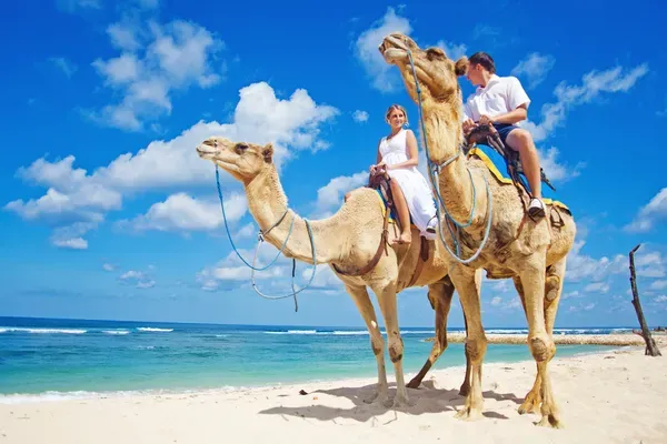 camel riding marsa alam day tour