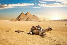 Cairo and giza pyramids from soma bay with private car