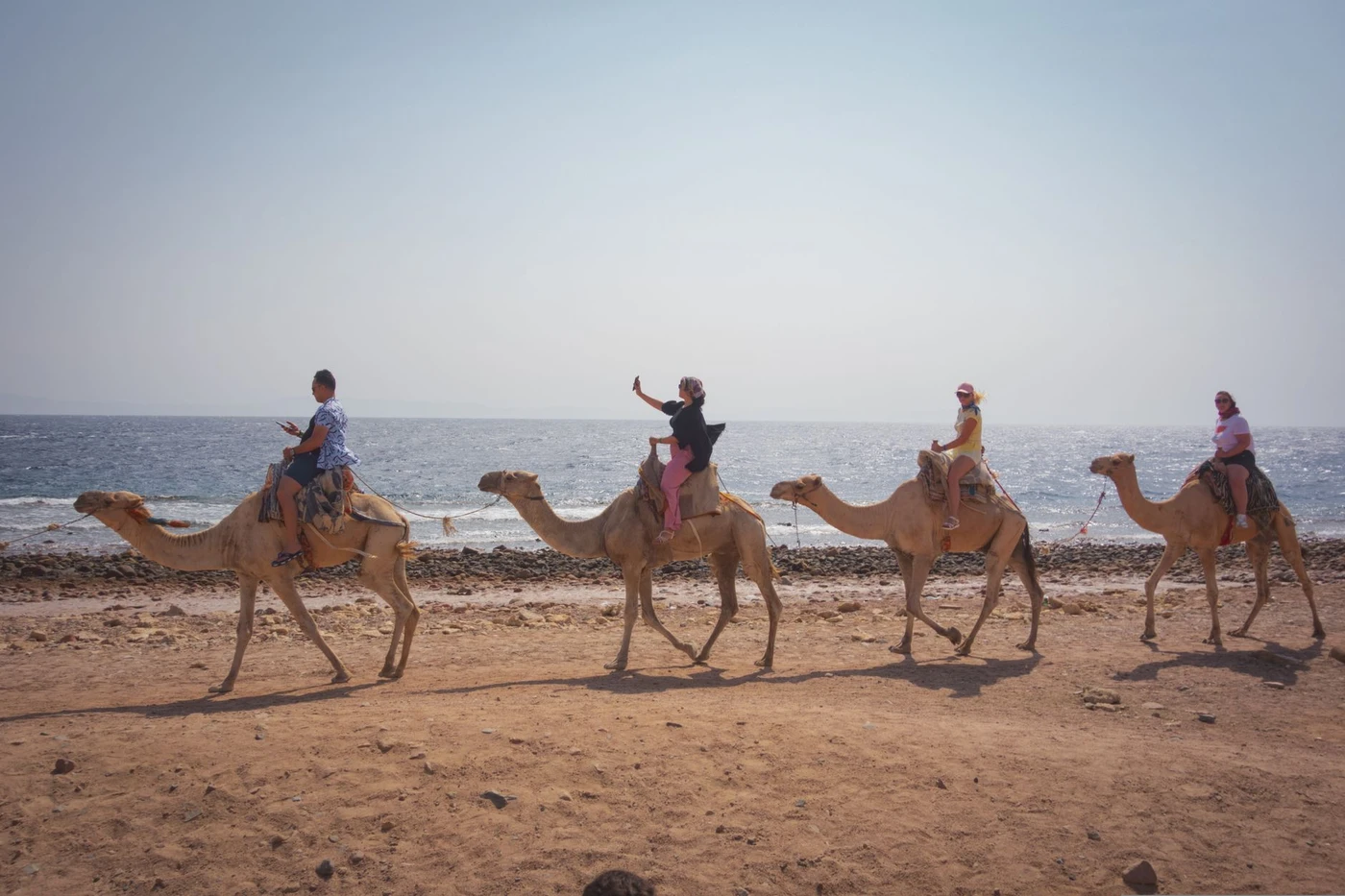 Marsa Alam Camel Riding Day Excursion