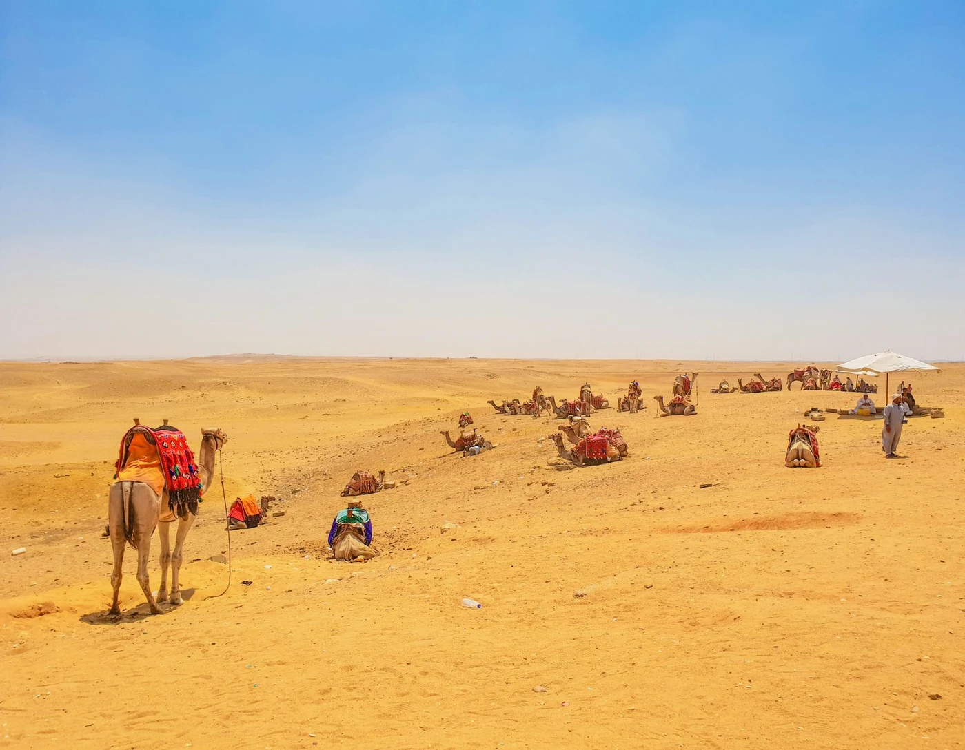 Wadi El Gemal Tour from Marsa Alam – Private Trek