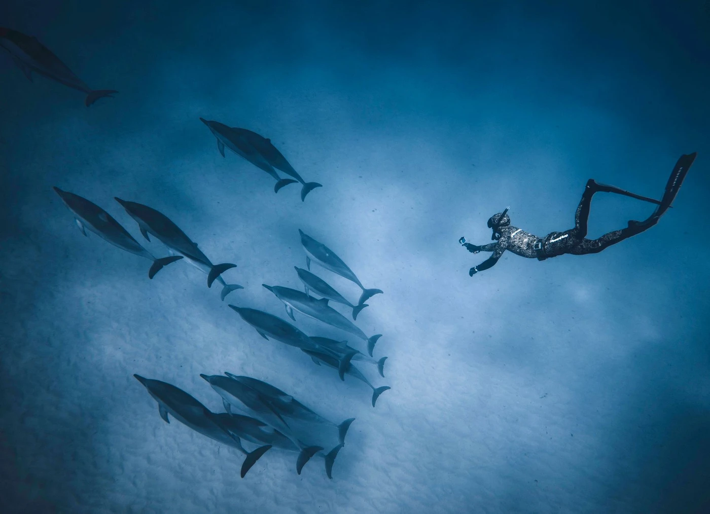 Sataya Dolphin Reef: Schnorcheln mit Übernachtung ab Marsa Alam