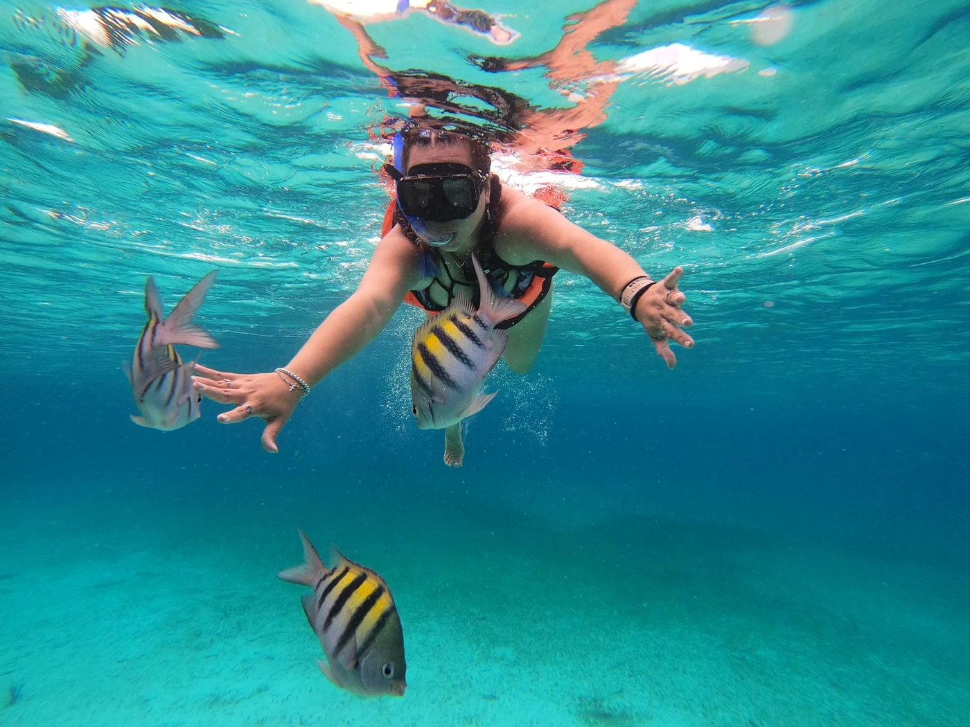 Excursion de snorkeling aux îles Hamata depuis Port Ghalib