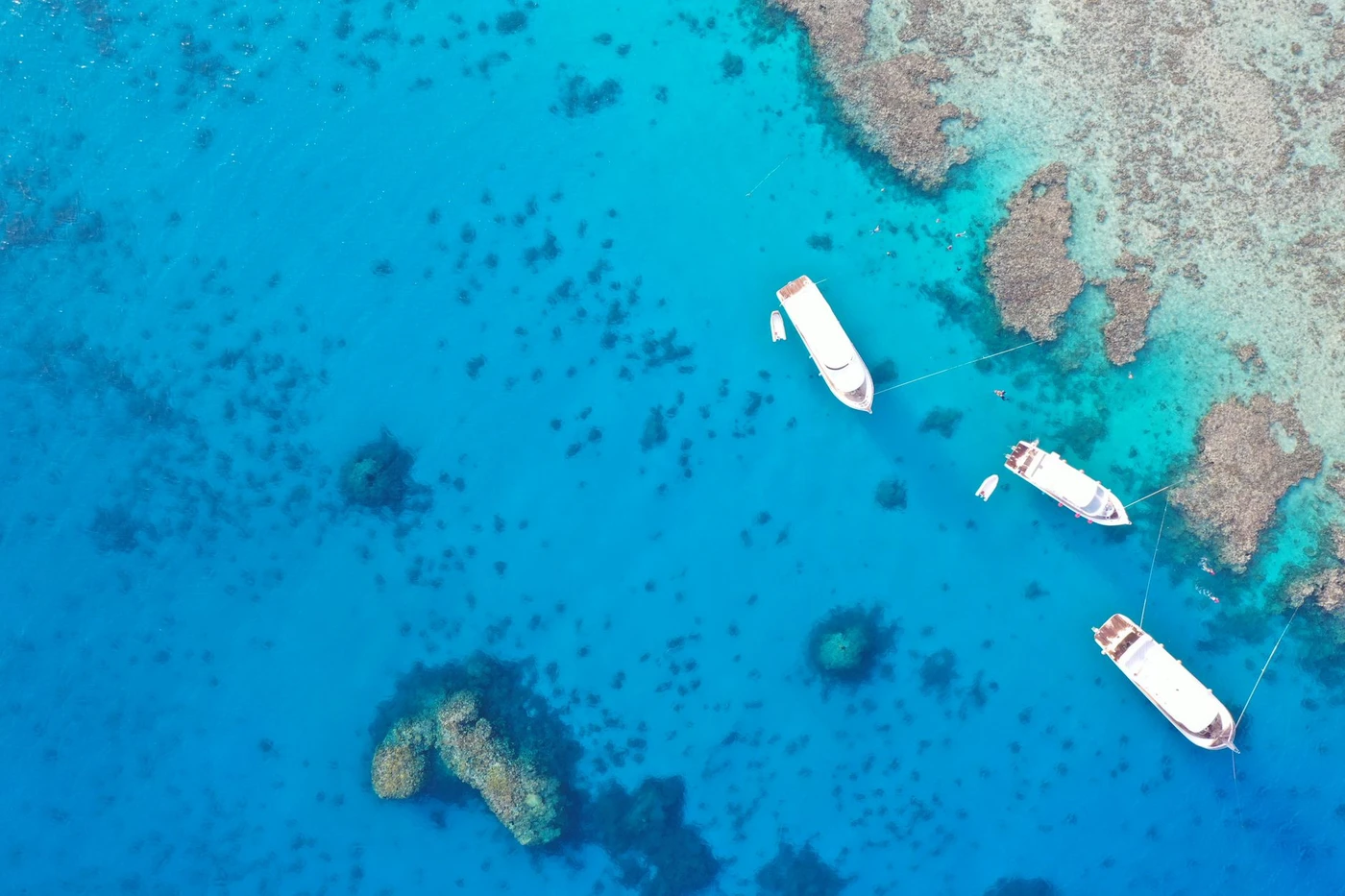 Dolphin House Boat Snorkeling from Hurghada