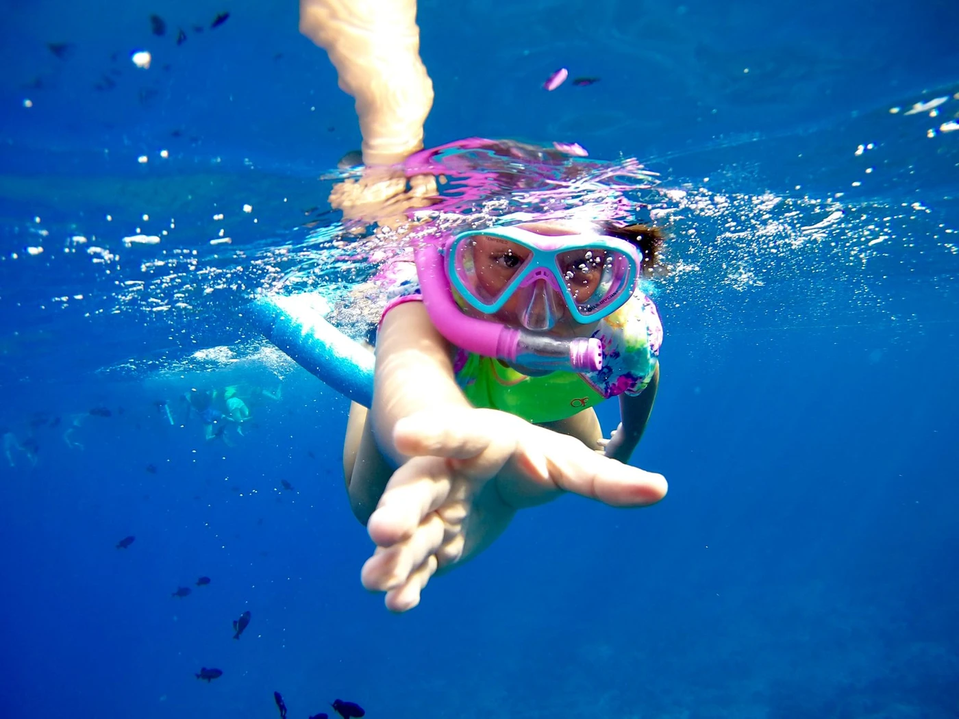 Excursion snorkeling à l’île de Mahmya depuis Makadi avec déjeuner