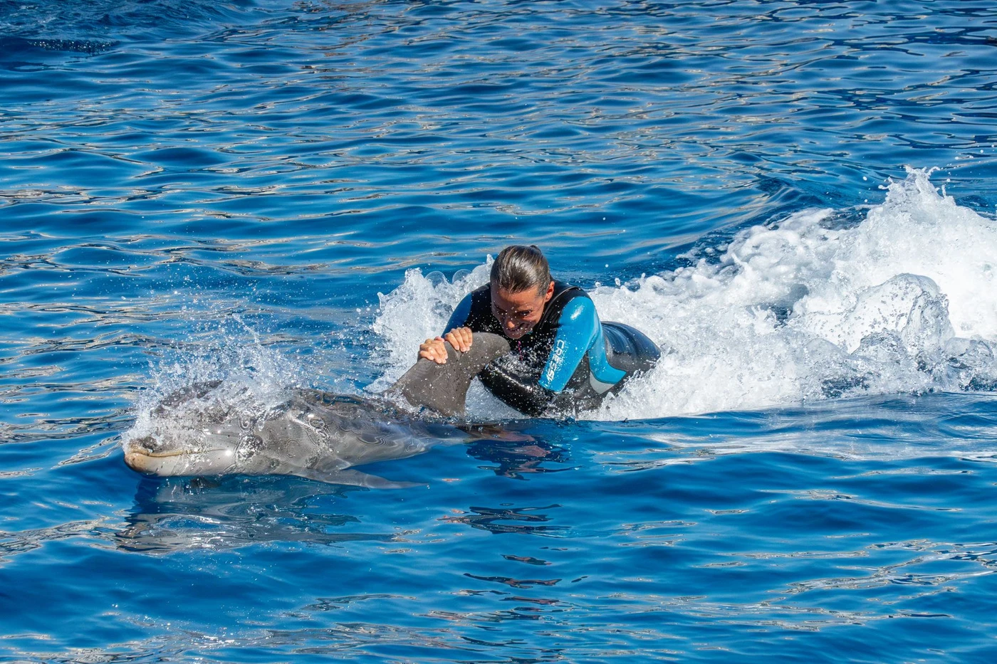 Swimming with Dolphins Excursion from Hurghada