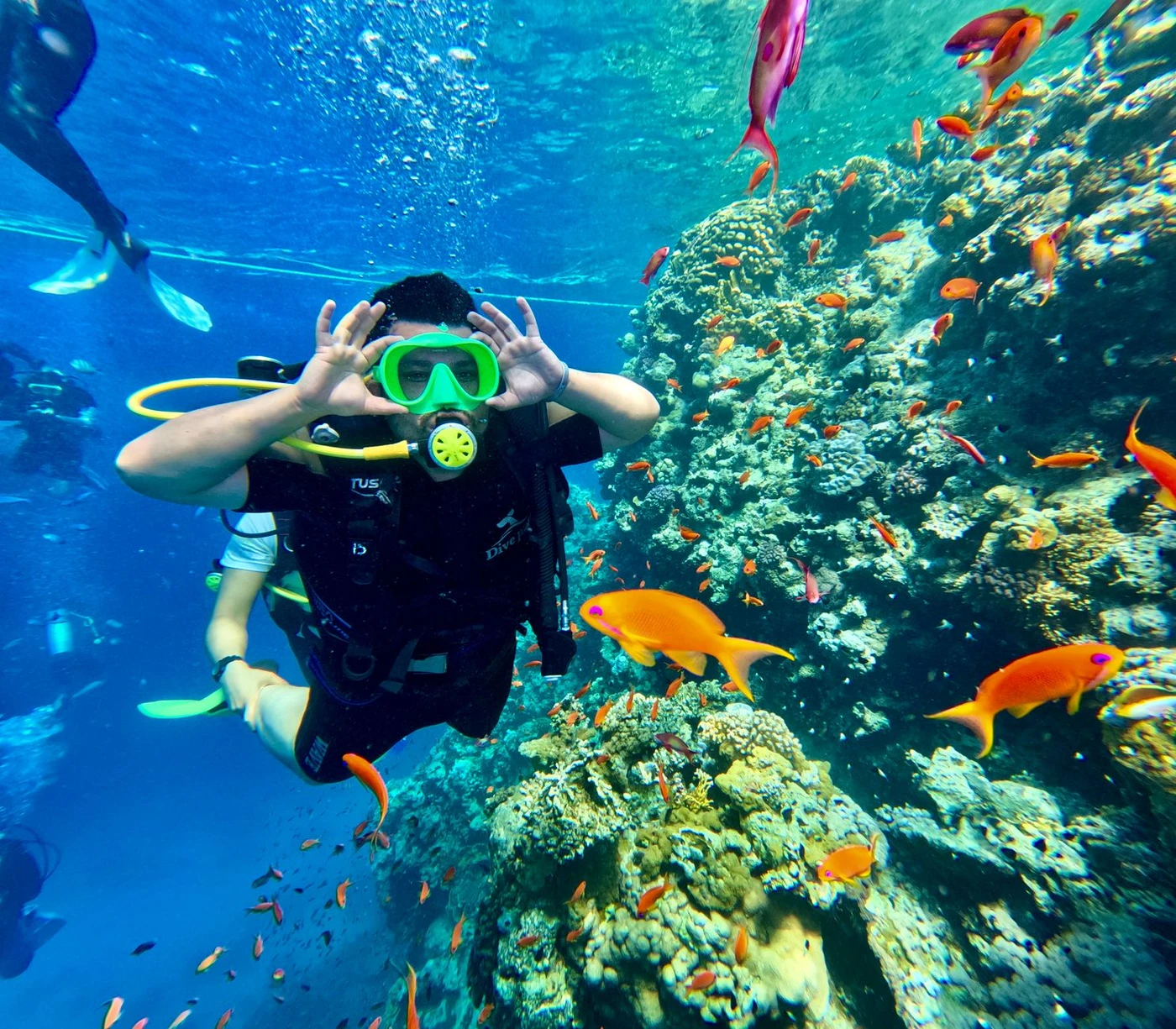 Hurghada Scuba Diving Trip with Lunch