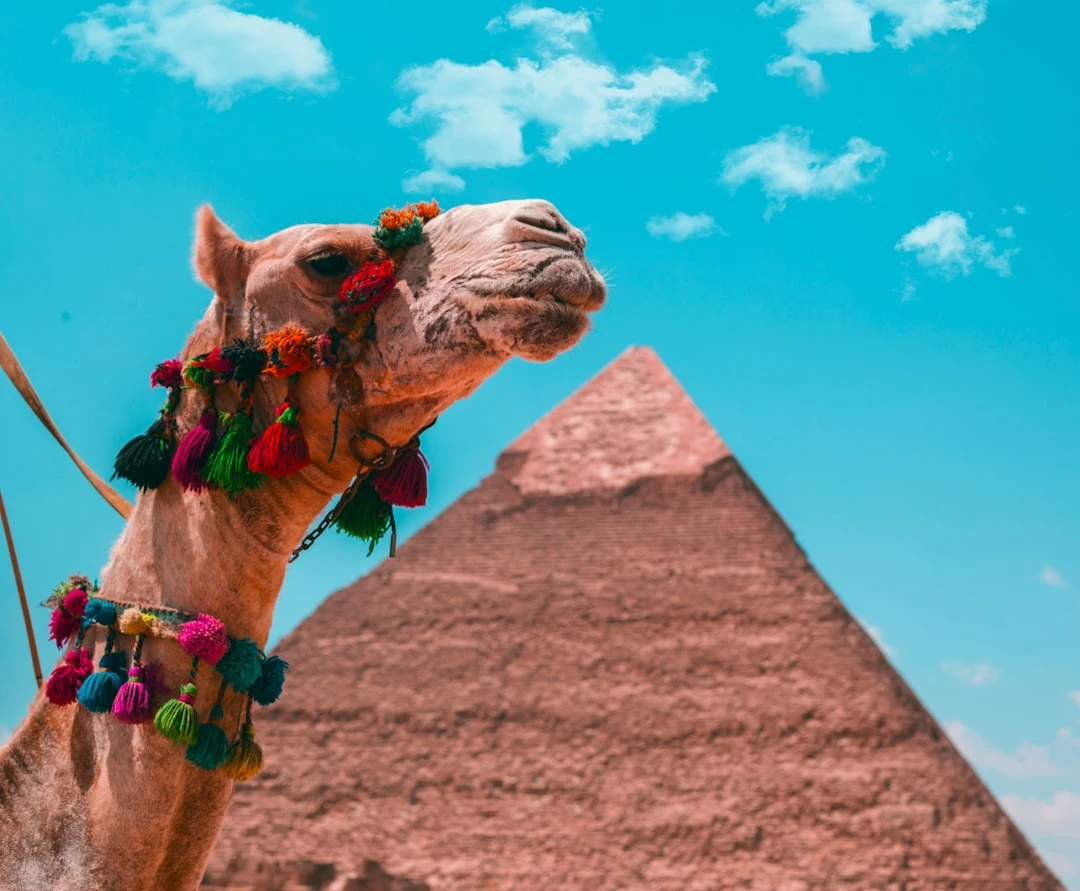 Cairo by Plane from Sharm El Sheikh- Top-Rated Day Trip